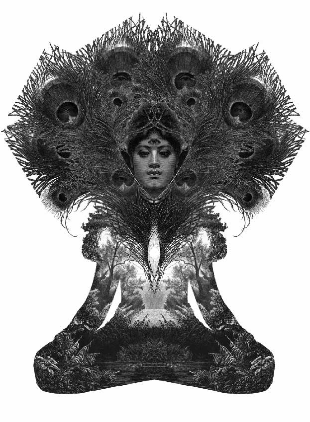 Dan Hillier