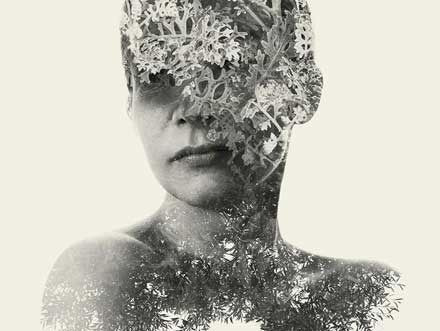 ALOA_Relander_une